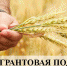 Объявление о проведении конкурса в 2023 году конкурса по отбору граждан и крестьянских (фермерских) хозяйств или индивидуальных предпринимателей для предоставления грантов «Агростартап» - Краснояружский район