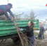 Краснояружцы активно участвуют в месячнике добровольного служения региону, который проводится в рамках национального проекта «Экологическое благополучие». - Краснояружский район