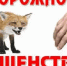 ОСТОРОЖНО БЕШЕНСТВО!. - Краснояружский район